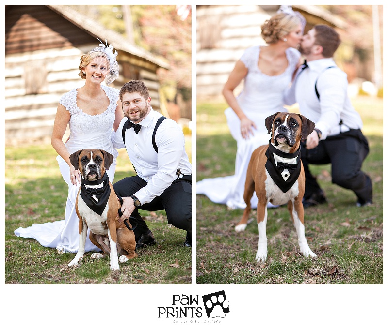 pittsburgh wedding photgrapher dog pet (1)