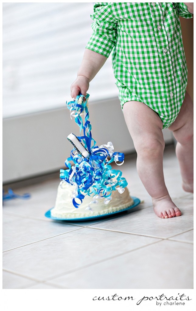 pittsburgh baby photographer first birthday cake smash session hopewell township boy first birthday 1st bday balloons cake gingham green blue (6)