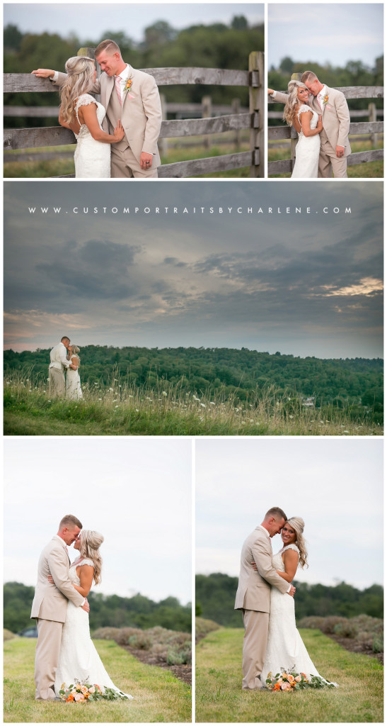 Destiny Hill Farm Wedding Photographer - Pittsburgh Portrait Photography - pgh wedding photographer -washington pa wedding (16)