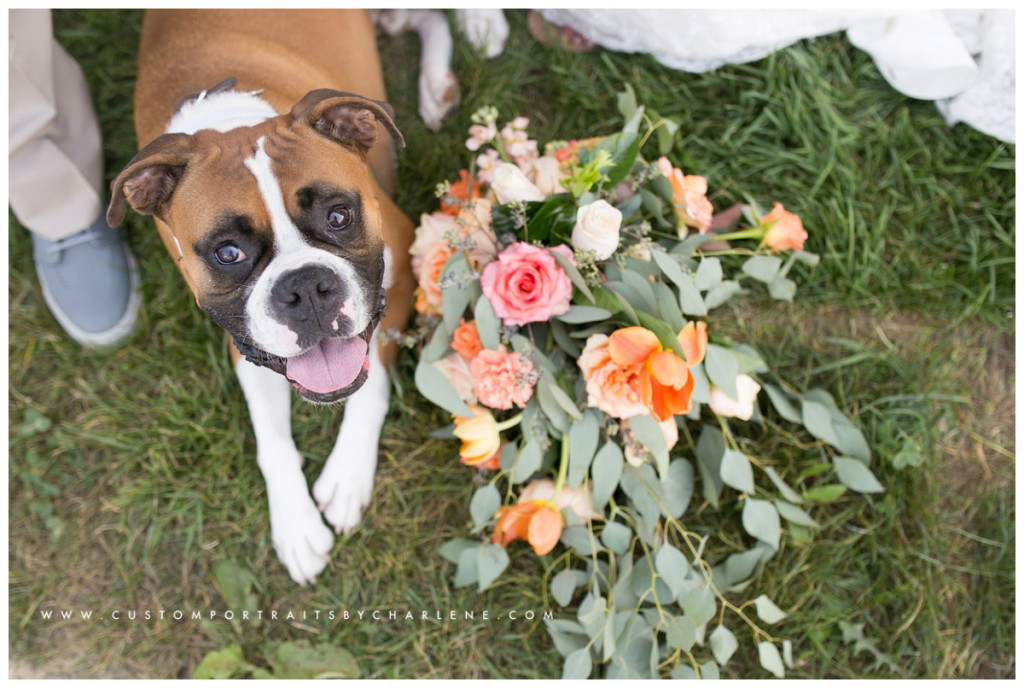 Destiny Hill Farm Wedding Photographer - Pittsburgh Portrait Photography - pgh wedding photographer -washington pa wedding (20)