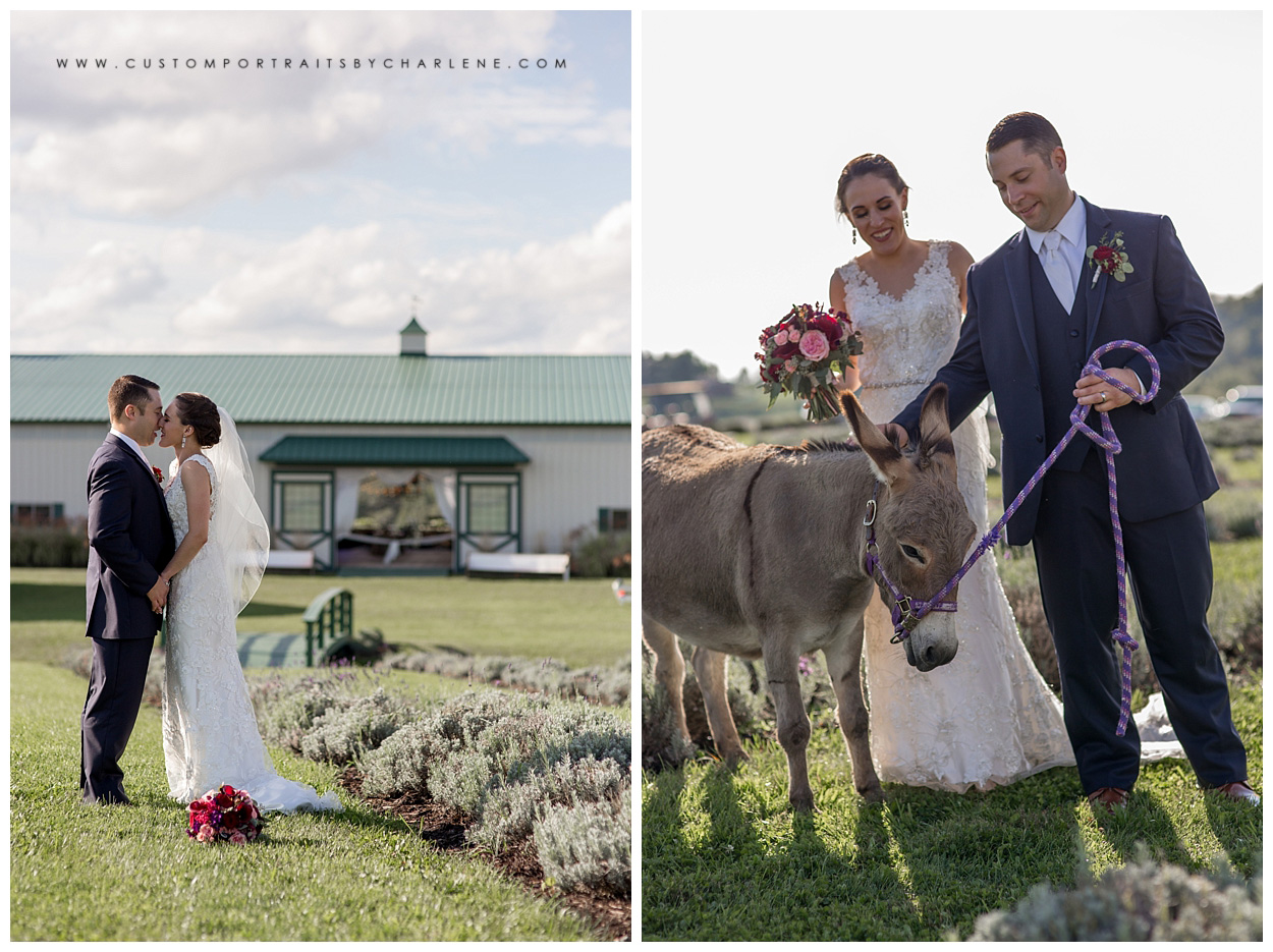 st-bernards-pittsburgh-wedding-ceremony-reception-destiny-hill-farm-washington-pa-wedding-photographer16