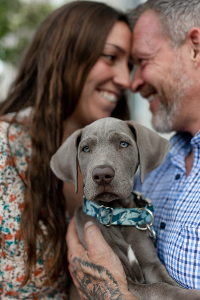 Pittsburgh Family and Pet Photographer