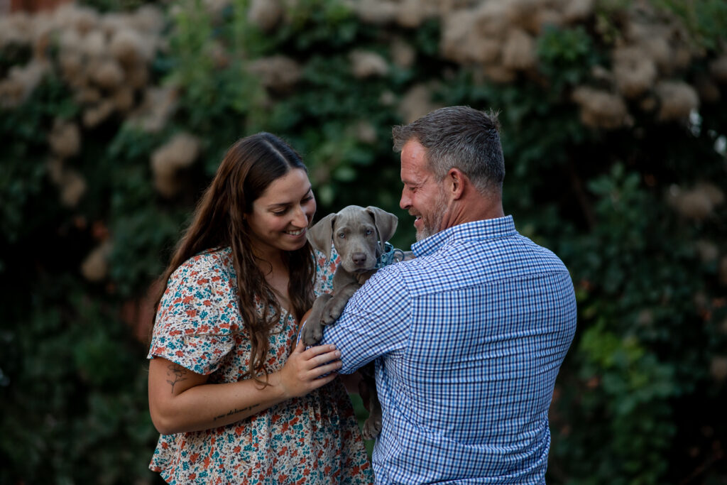 Pittsburgh Family and Pet Photographer with a Great Dane